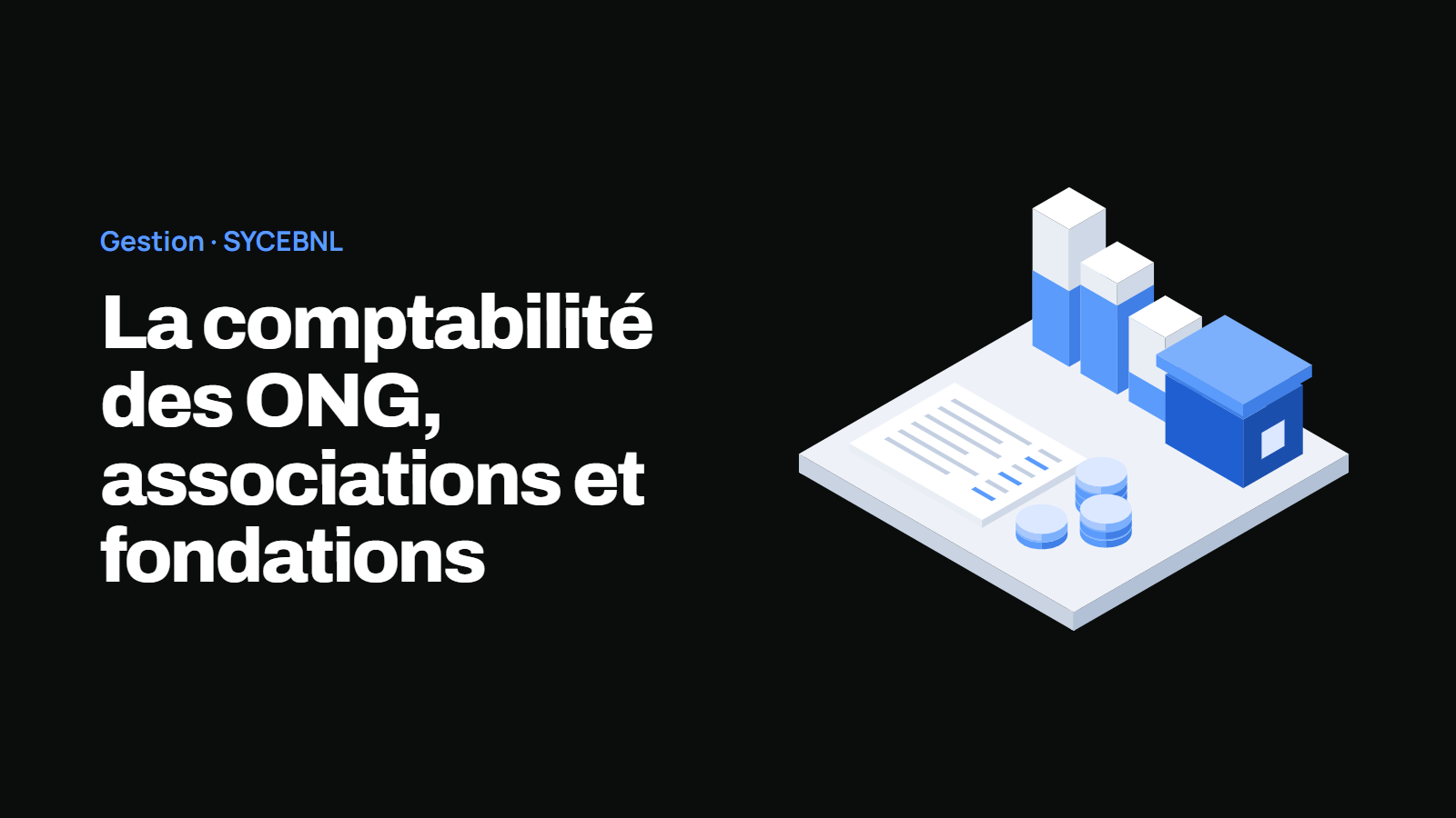 La comptabilité des ONG, associations et fondations, selon le SYCEBNL.